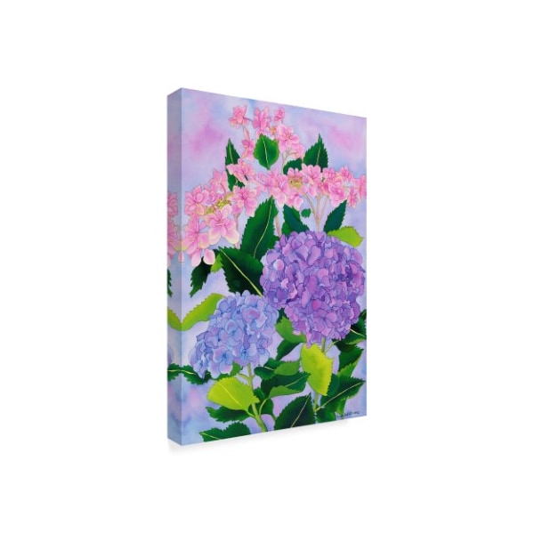 Carissa Luminess 'Hydrangea Wonder' Canvas Art,16x24